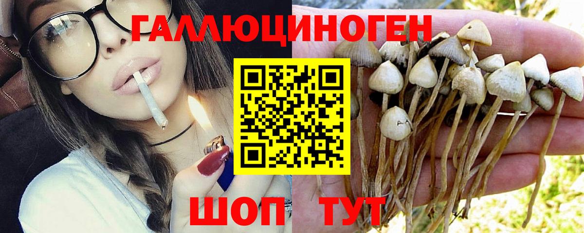 Мурино  Псилоцибиновые грибы ЛСД  Вход с VPN  Псилоцибиновые грибы ЛСД 